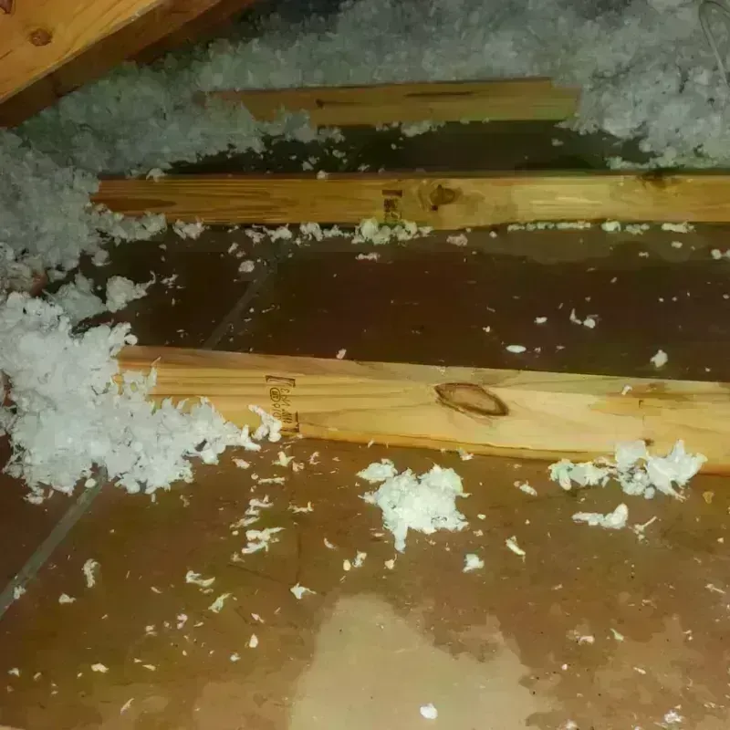 Attic Water Damage in Buchanan Dam, TX